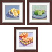 Framed 'Still Citrus 3 Piece Framed Art Print Set' border=