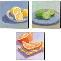 Framed 'Still Citrus 3 Piece Canvas Print Set' border=