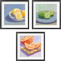Framed Still Citrus 3 Piece Framed Art Print Set