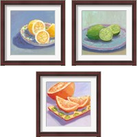 Framed 'Still Citrus 3 Piece Framed Art Print Set' border=