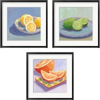 Framed Still Citrus 3 Piece Framed Art Print Set
