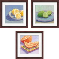 Framed 'Still Citrus 3 Piece Framed Art Print Set' border=