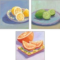 Framed 'Still Citrus 3 Piece Art Print Set' border=