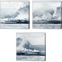 Framed 'Passing Rain Storm 3 Piece Canvas Print Set' border=