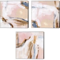 Framed 'Salt Flat Tracks 3 Piece Canvas Print Set' border=