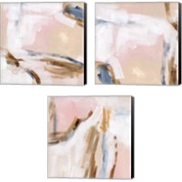 Framed 'Salt Flat Tracks 3 Piece Canvas Print Set' border=