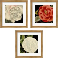 Framed 'Dramatic Camellia 3 Piece Framed Art Print Set' border=
