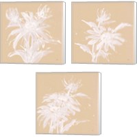 Framed 'Echinacea  3 Piece Canvas Print Set' border=