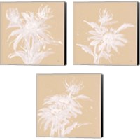 Framed 'Echinacea  3 Piece Canvas Print Set' border=
