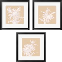 Framed 'Echinacea  3 Piece Framed Art Print Set' border=