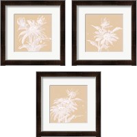 Framed 'Echinacea  3 Piece Framed Art Print Set' border=