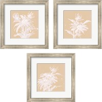Framed Echinacea  3 Piece Framed Art Print Set