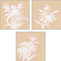 Framed Echinacea  3 Piece Art Print Set