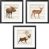 Framed 'Northern Wild 3 Piece Framed Art Print Set' border=