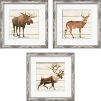 Framed 'Northern Wild 3 Piece Framed Art Print Set' border=