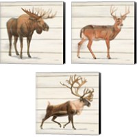 Framed 'Northern Wild 3 Piece Canvas Print Set' border=