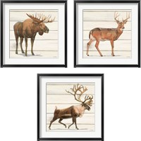 Framed Northern Wild 3 Piece Framed Art Print Set