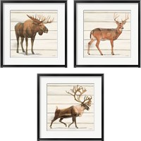 Framed Northern Wild 3 Piece Framed Art Print Set