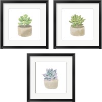 Framed Simple Succulent 3 Piece Framed Art Print Set