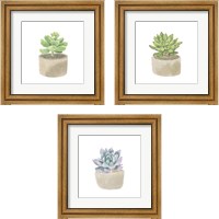 Framed Simple Succulent 3 Piece Framed Art Print Set