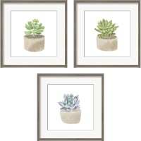 Framed 'Simple Succulent 3 Piece Framed Art Print Set' border=