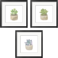 Framed 'Simple Succulent 3 Piece Framed Art Print Set' border=