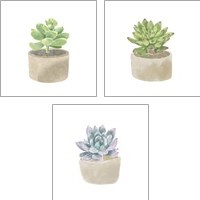 Framed Simple Succulent 3 Piece Art Print Set