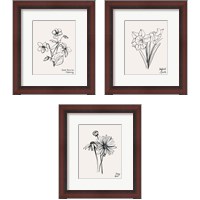 Framed 'Annual Flowers 3 Piece Framed Art Print Set' border=