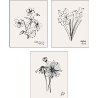Framed 'Annual Flowers 3 Piece Art Print Set' border=