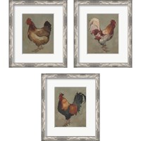 Framed 'Egg Hen 3 Piece Framed Art Print Set' border=