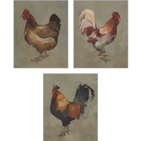Framed Egg Hen 3 Piece Art Print Set