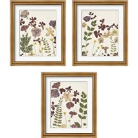 Framed 'Pressed Flower Arrangement 3 Piece Framed Art Print Set' border=