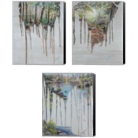 Framed Memories  3 Piece Canvas Print Set