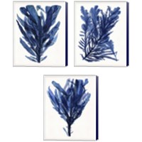 Framed 'Indigo Ocean 3 Piece Canvas Print Set' border=