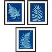 Framed Cyanotype Ferns 3 Piece Framed Art Print Set