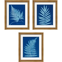 Framed 'Cyanotype Ferns 3 Piece Framed Art Print Set' border=