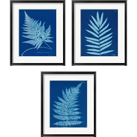 Framed 'Cyanotype Ferns 3 Piece Framed Art Print Set' border=