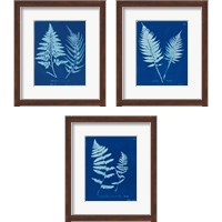 Framed Cyanotype Ferns 3 Piece Framed Art Print Set