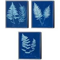 Framed 'Cyanotype Ferns 3 Piece Canvas Print Set' border=