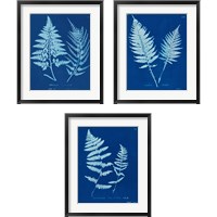 Framed Cyanotype Ferns 3 Piece Framed Art Print Set