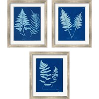 Framed Cyanotype Ferns 3 Piece Framed Art Print Set