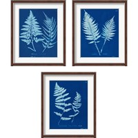 Framed 'Cyanotype Ferns 3 Piece Framed Art Print Set' border=