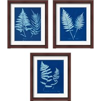 Framed Cyanotype Ferns 3 Piece Framed Art Print Set