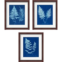 Framed 'Cyanotype Ferns 3 Piece Framed Art Print Set' border=
