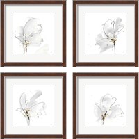 Framed 'Cool Gray 4 Piece Framed Art Print Set' border=