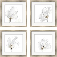 Framed 'Cool Gray 4 Piece Framed Art Print Set' border=