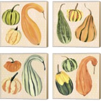 Framed 'Decorative Gourd 4 Piece Canvas Print Set' border=