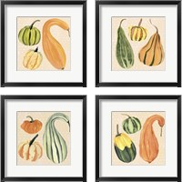 Framed 'Decorative Gourd 4 Piece Framed Art Print Set' border=