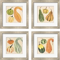 Framed Decorative Gourd 4 Piece Framed Art Print Set