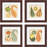 Framed Decorative Gourd 4 Piece Framed Art Print Set